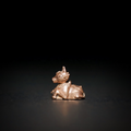 Nandi