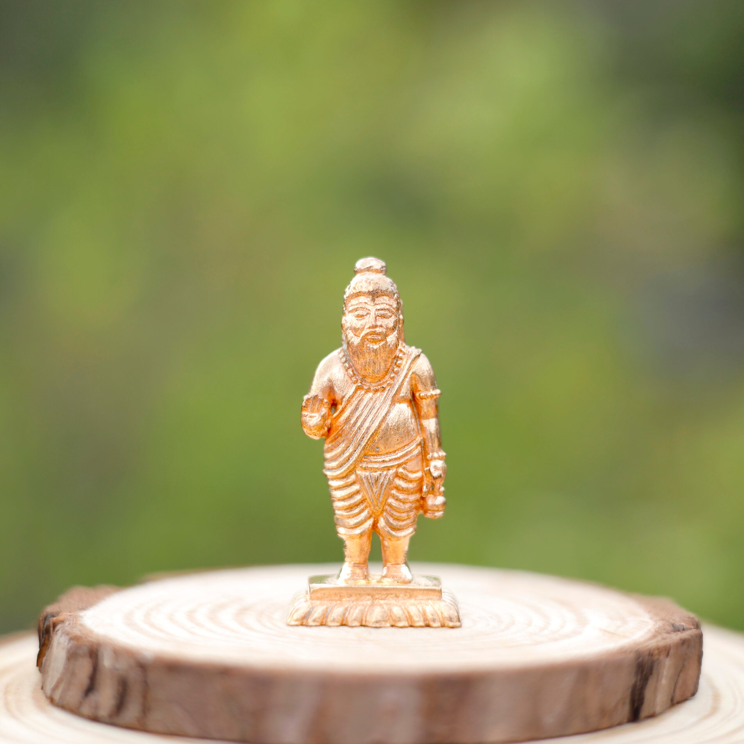 Agastya Muni