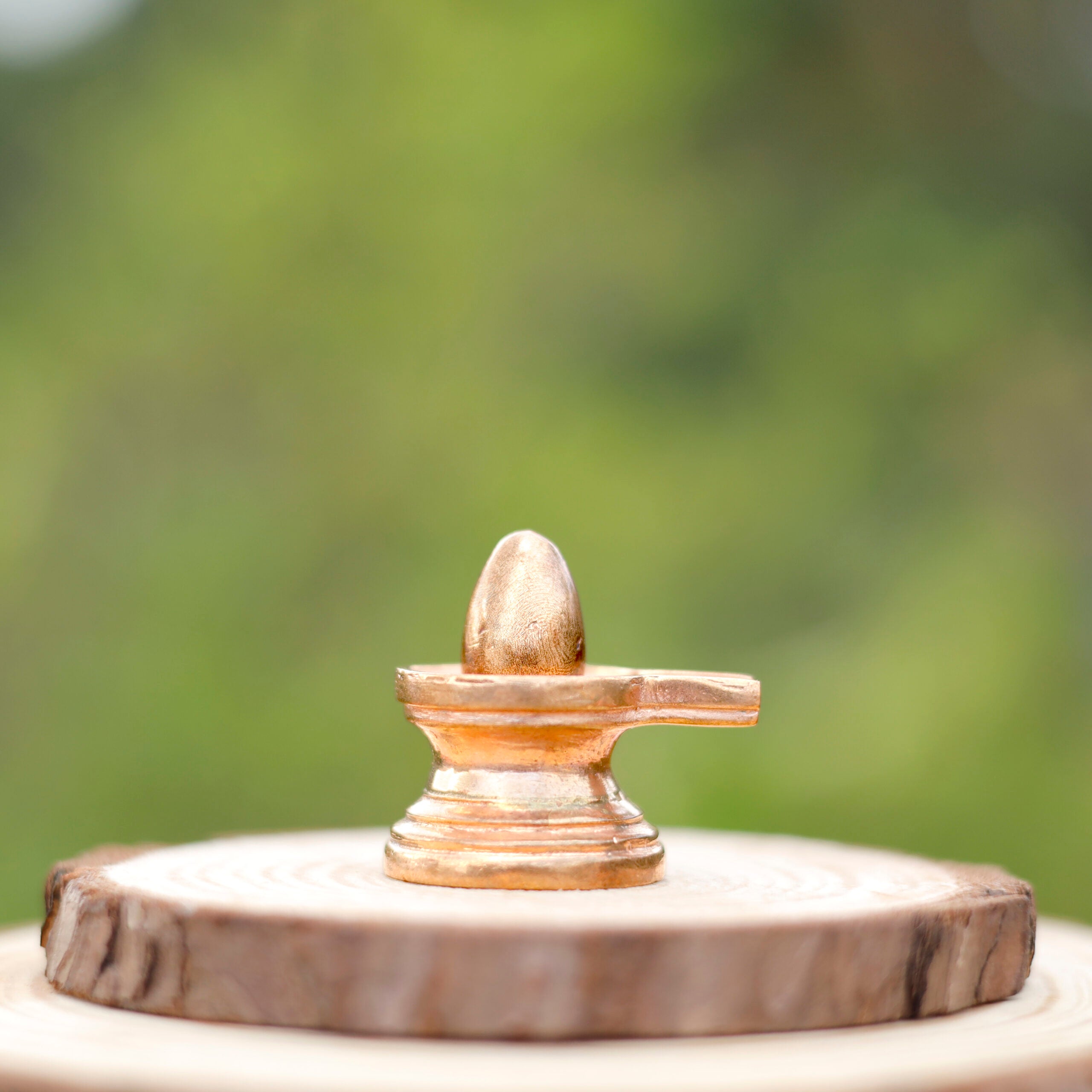 Bana Lingam
