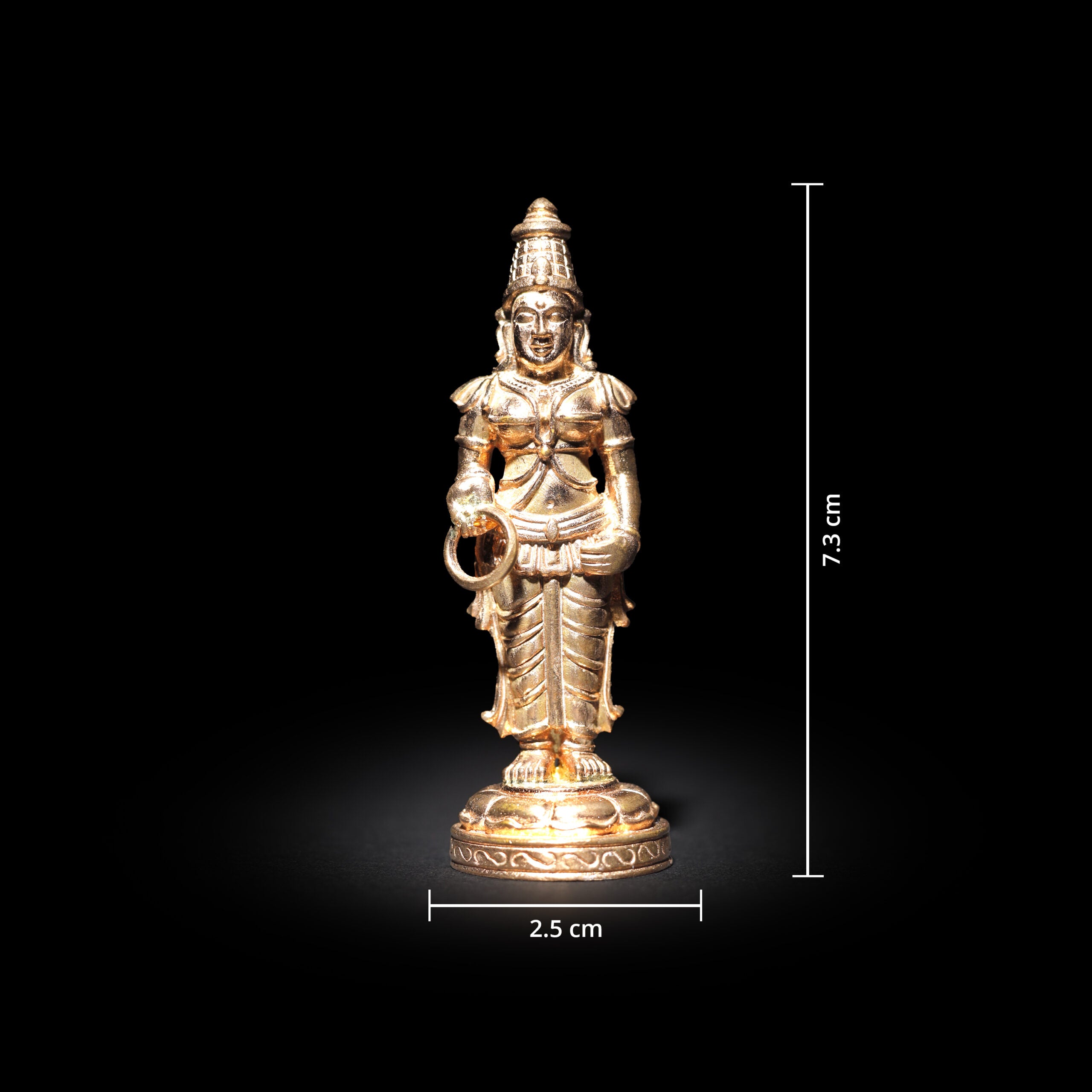 Vasavi Kanniga Parameshwari