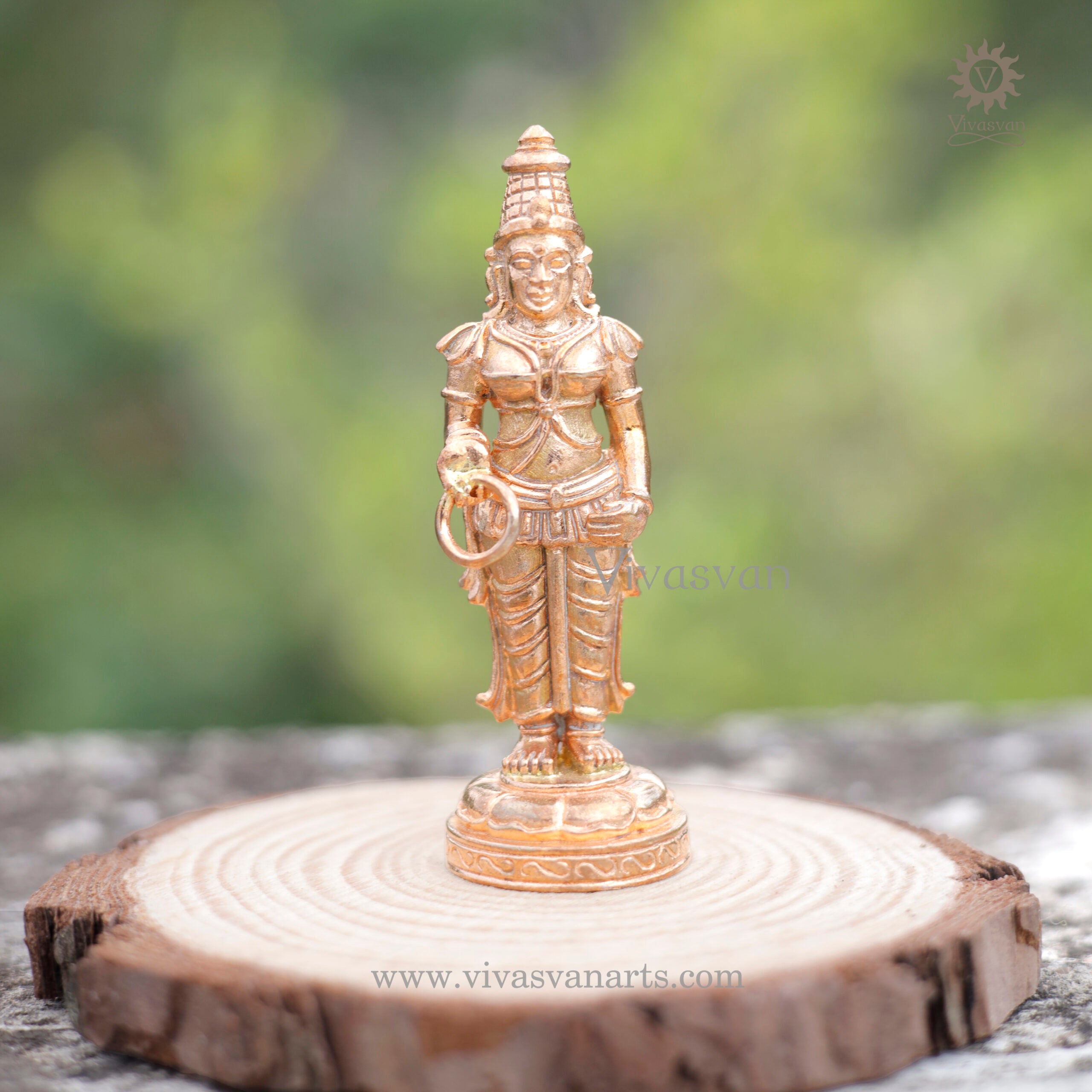 Vasavi Kanniga Parameshwari