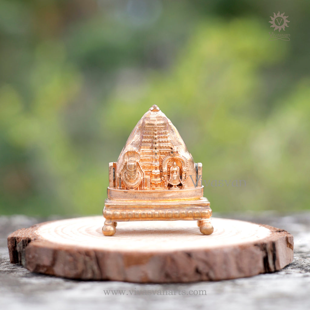 Thiruvannamalai 2D Small