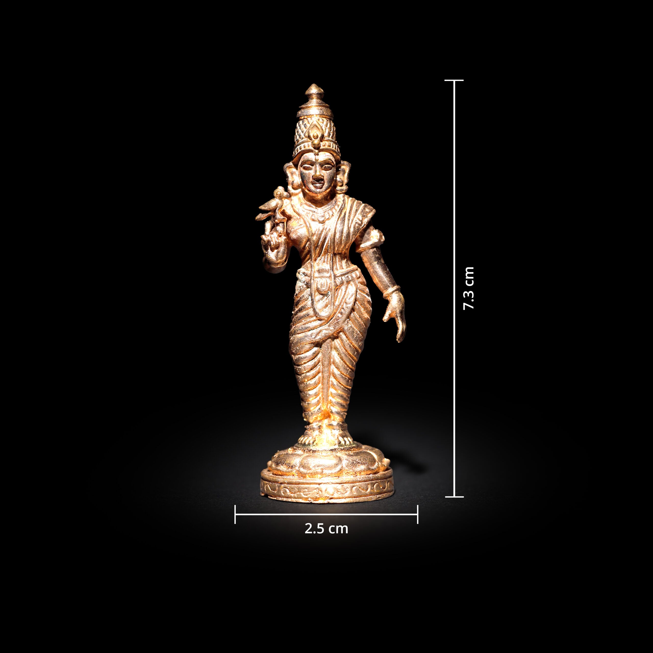 Meenakshi