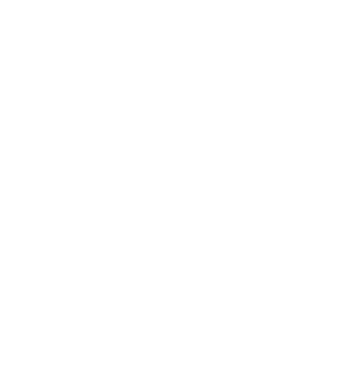 vivasvanarts.com